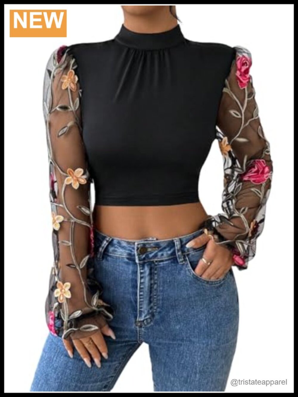 Sheer Mesh Floral Embroidery Crop Top Mock Neck Long Sleeve Bow Backless Blouse